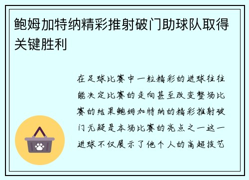 鲍姆加特纳精彩推射破门助球队取得关键胜利 鲍姆加特纳精彩推射破门助球队取得关键胜利